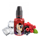 Concentré Seiryuto - Fighter Fuel