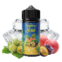 Reine Claude Mirabelle Quetsche 100ml - Caribbean Soul