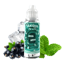 Mint Flow 100ml - Paperland