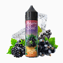 Cassis Mûre Baies d'Aronia 50ml - Malaysian Soul